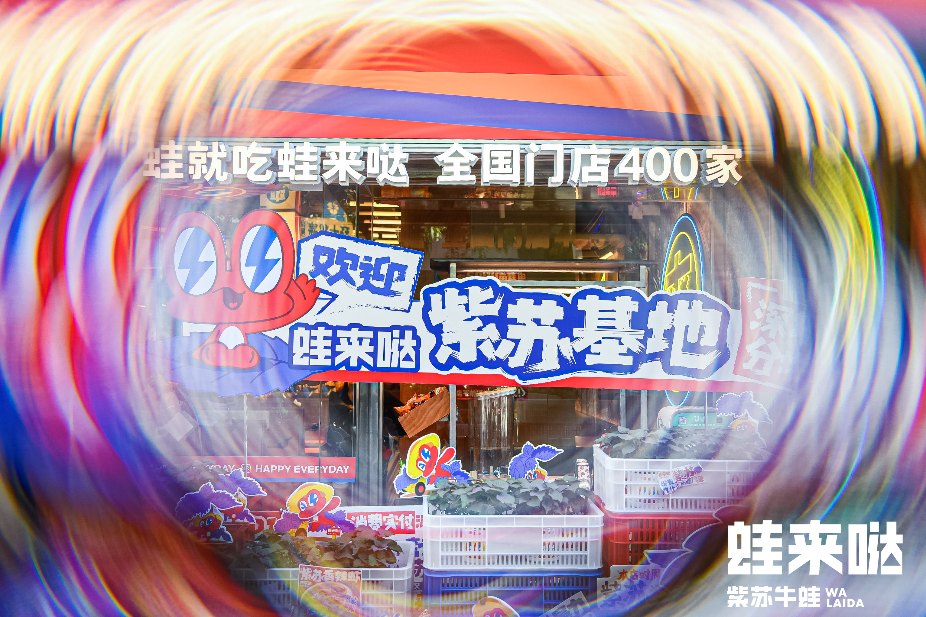蛙来哒 蛙来哒