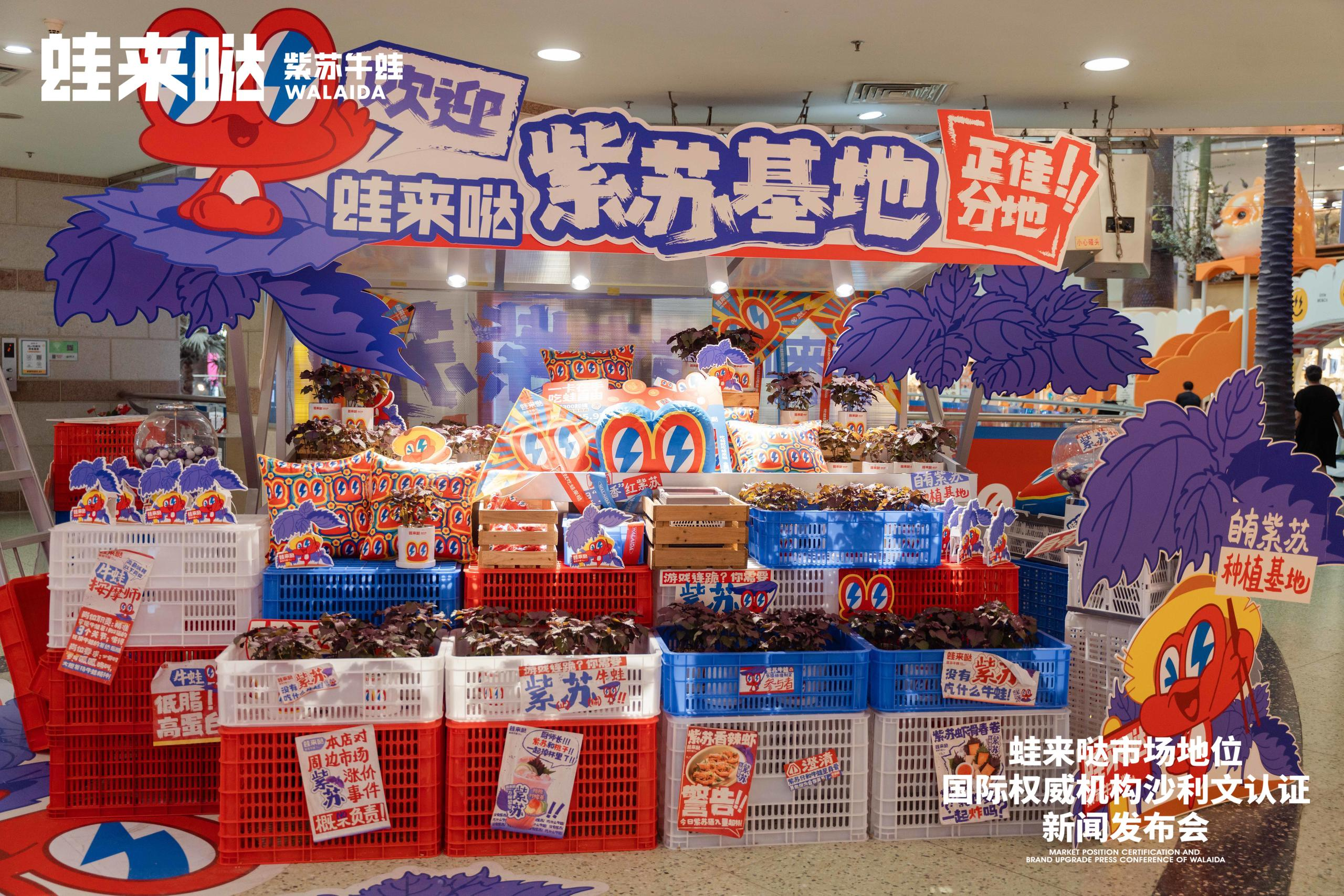 蛙来哒