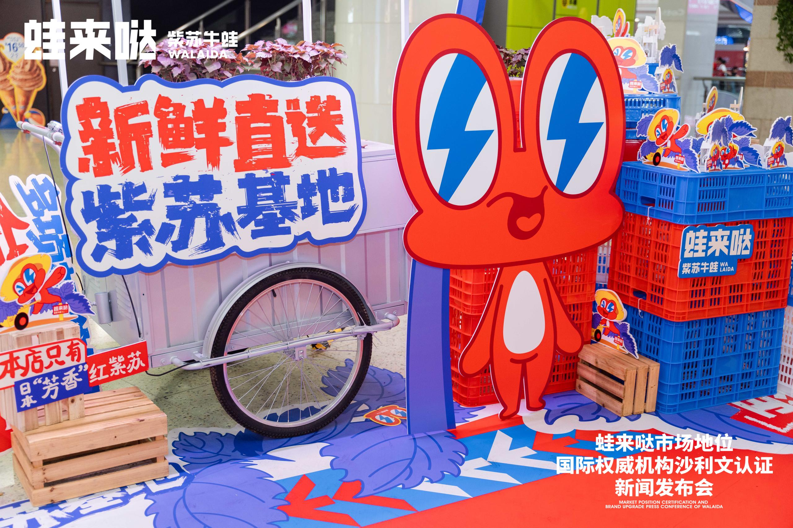蛙来哒