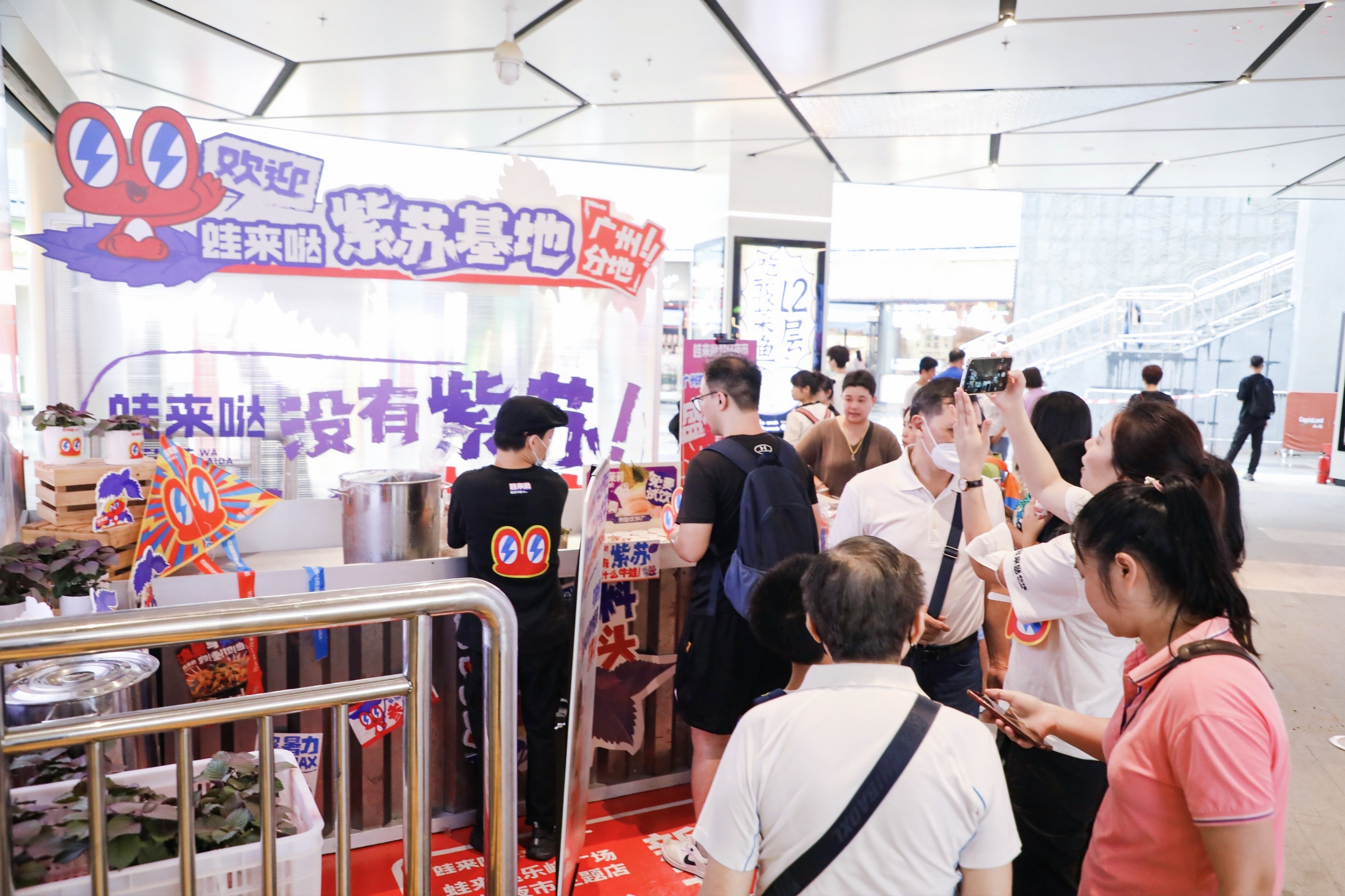 蛙来哒 蛙来哒